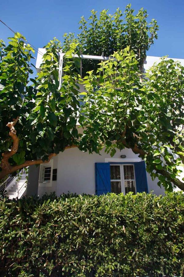 Studios Vasilis Agia Marina Exterior foto